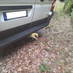 Citroen Jumper CONTROL TOLE 30 L1H1 BLUEHDi 120 S&amp;S BVM6 LE MESNIL-TOVE