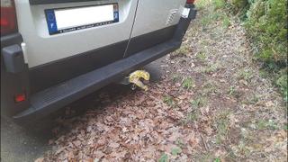 Citroen Jumper  - photo 2