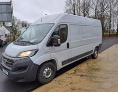 Fiat Ducato Thouaré-sur-Loire