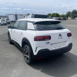 Citroen C4 societe FEEL NAV BLUEHDI 120 S&amp;S EAT6 Thouar&eacute;-sur-Loire