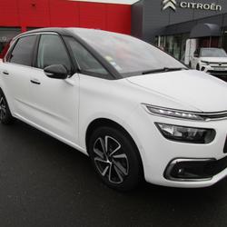 Citroen C4 Picasso Shine BlueHDi 120 S&amp;S EAT6 SAINT-HILAIRE-PETITVILLE