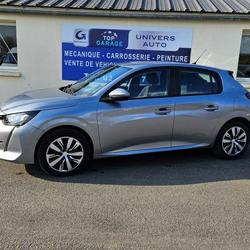 Peugeot 208 Active Business 208 BlueHDi 100 S&amp;S BVM6 Vivy