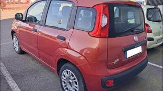 Fiat Panda  - Easy - photo 3