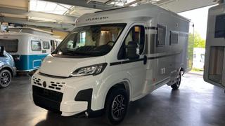 Profile Florium Autres Florium   - photo 1