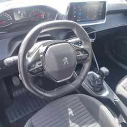 Peugeot 2008 Active Business BlueHDi 110 S&amp;S BVM6 Gravelines