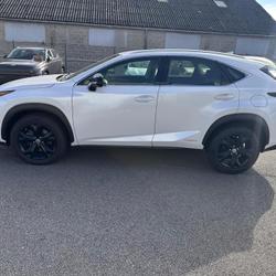 Lexus NX Sport Edition E-CVT 300h 2WD Brest