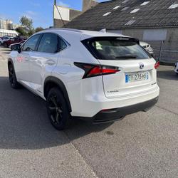 Lexus NX Sport Edition E-CVT 300h 2WD Brest