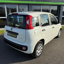Fiat Panda City 1.0 70 ch Hybride BSG S/S Guipavas