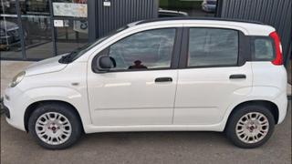 Fiat Panda  - Easy - photo 2