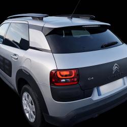 Citroen C4 Cactus Feel Edition C4 BlueHDi 100 Grand-Fougeray