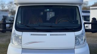 Profile Citroen Autres Citroen   - photo 2