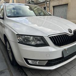 Skoda Octavia Combi Business Plus 1.6 TDI 110 ch CR FAP Green Tec DSG Les Trois-Moutiers