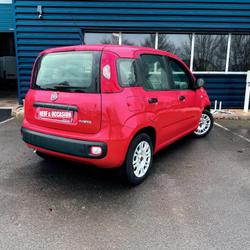 Fiat Panda 1.0 70 ch Hybride BSG S/S Mauges-sur-Loire