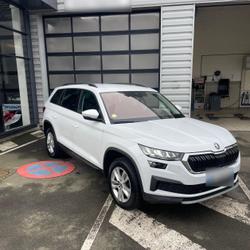 Skoda Kodiaq Business 2.0 TDI 150 SCR DSG7 5pl Dinan
