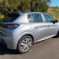 Peugeot 208 Active Business 208 BlueHDi 100 S&amp;S BVM6 Le Luart