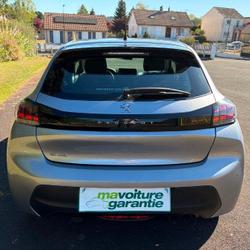 Peugeot 208 Active Business 208 BlueHDi 100 S&amp;S BVM6 Le Luart