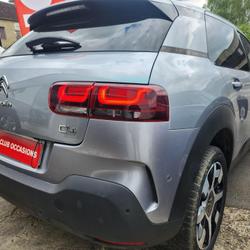 Citroen C4 Cactus Shine Business C4 BlueHDi 120 S&amp;S EAT6 Alen&ccedil;on