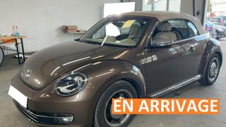 Volkswagen Coccinelle  - photo 0