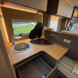 Profile LMC LMC Tourer Lift 730 Saint-Gilles