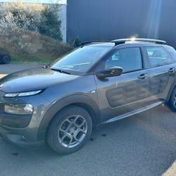 Citroen C4 Cactus Feel Business C4 BlueHDi 100 S&amp;S ETG6 Malville