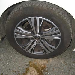 Renault Megane 4 Evolution Blue dCi 115 EDC Loireauxence