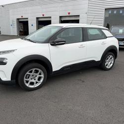 Citroen C4 Cactus Feel BlueHDi 100 S&amp;S BVM6 Loireauxence