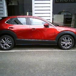 Mazda CX-30 Business Executive 2.0L SKYACTIV-G M Hybrid 122 ch 4x2 BVM6 Angers