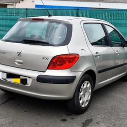 Peugeot 307 Ex&eacute;cutive 1.6e 16V Angers