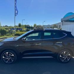 Hyundai Tucson Executive 1.6 CRDi 136 hybrid 48V DCT-7 Mauges-sur-Loire