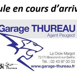 Peugeot 3008 GT Line BlueHDi 130ch S&amp;S BVM6 Beaumont-sur-Sarthe