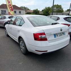 Skoda Octavia Active 2.0 TDI 116 ch Vendrennes