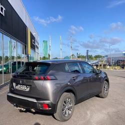 Peugeot 2008 Active Business BlueHDi 110 S&amp;S BVM6 Belz