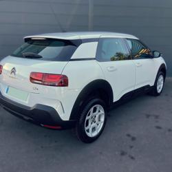 Citroen C4 Cactus Feel Business BlueHDi 100 S&amp;S BVM6 La Montagne