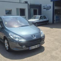 Peugeot 307 Ex&eacute;cutive Pack A 1.6e 16V Mor&eacute;ac