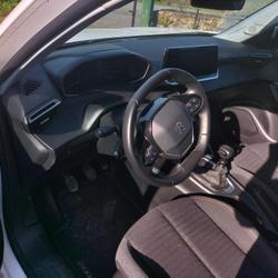 Peugeot 2008 Active BlueHDi 110 S&amp;S BVM6 Locqueltas