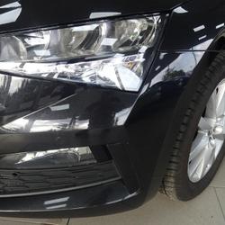 Skoda Scala Business 1.6 TDI 116 ch DSG7 La Fl&egrave;che