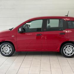 Fiat Pandina Ic&ocirc;ne 1.0 65 ch Hybrid BSG S/S occasion - SAINT-MARTIN-DES-CHAMPS - photo 2/12