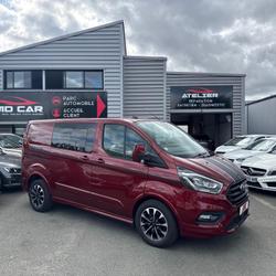 Ford A 320 L1H1 2.0 EcoBlue 185 Sainte-Gemmes-sur-Loire
