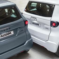 Aixam Easy ACCESS 480 cc kubota Plo&euml;rmel
