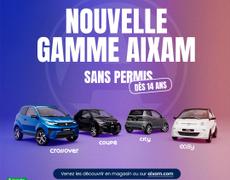 Autres Aixam Venansault