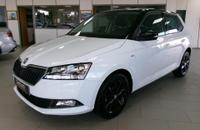 Skoda Fabia Edition 1.0 MPI 75 ch BVM5 à La Flèche