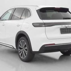 Geely Starray EM-i Max+ EM-i occasion - La Garnache - photo 3/10
