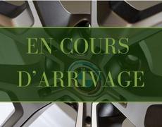 Ford S Max Cholet