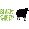 BLACKSHEEP-VAN St-Malo