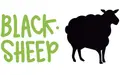Information : BLACKSHEEP-VAN St-Malo