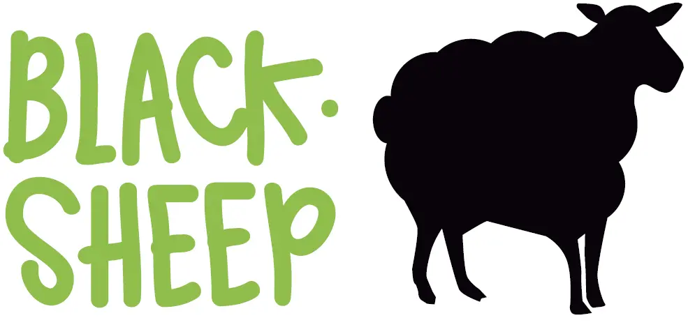 BLACKSHEEP-VAN St-Malo - 6 Avenue du Général Ferrié &agrave; Saint-Malo (35)