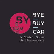 BYE BUY CAR PAU - 51 route de Tarbes &agrave; Idron (64)