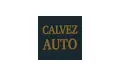 Information : CALVEZ AUTO LANESTER