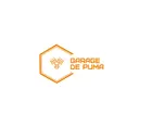 GARAGE DE PUMA &agrave; Domloup (35)