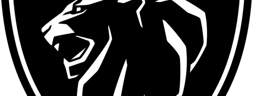 Informations: PEUGEOT ALTEAM SABLE